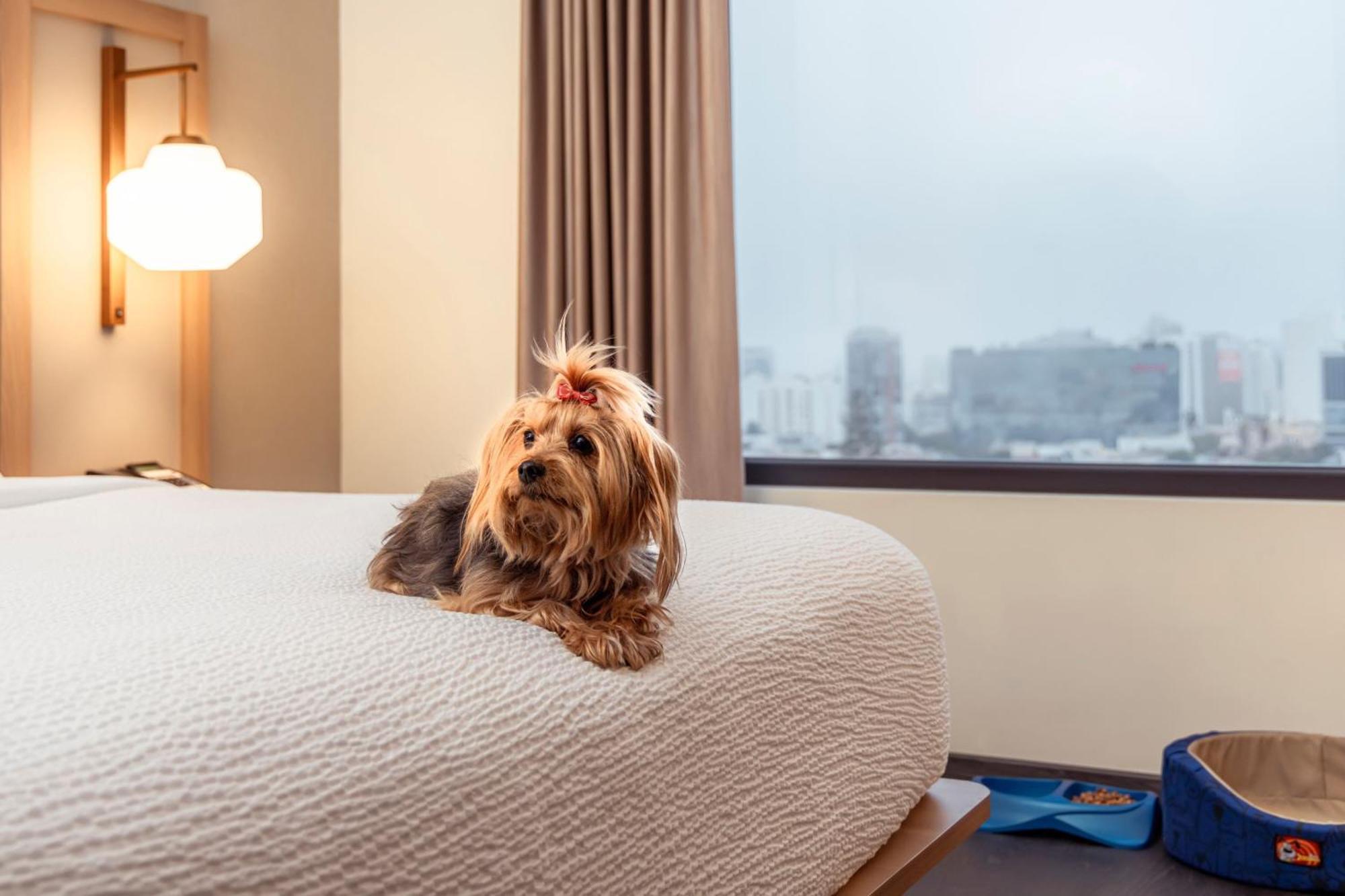 Fairfield By Marriott Lima Miraflores Dış mekan fotoğraf